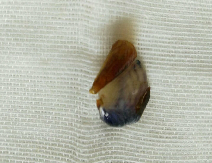 未標(biāo)題-2.jpg 未標(biāo)題-2.jpg