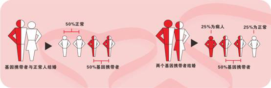 圖片1.png 圖片1.png