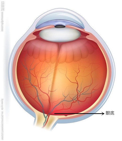 1_副本.jpg 1_副本.jpg