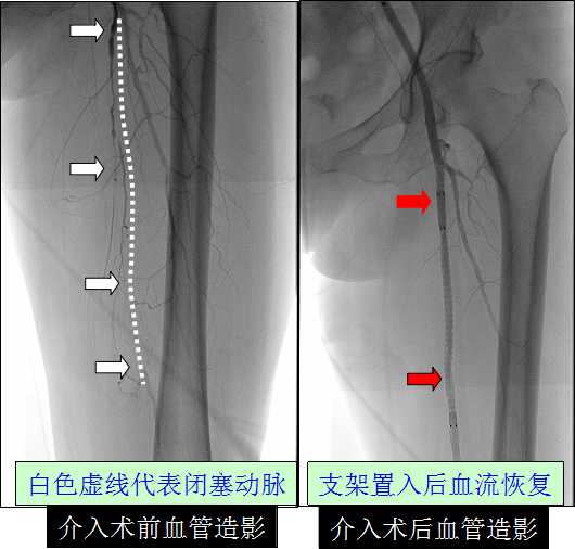圖片 5.png 圖片 5.png