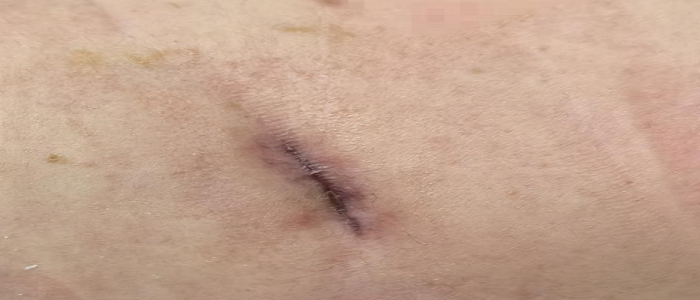 圖片2.png 圖片2.png