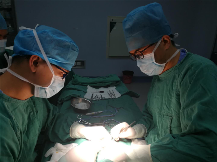 圖片3.png 圖片3.png